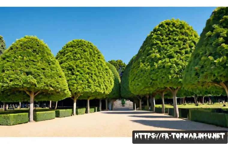 Top War : reconnaître les niveaux d’équipement et investir ses ressources au bon moment 4 top war 장비 등급 구분 관련 이미지 2